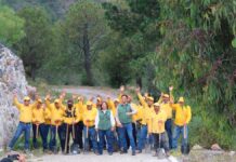 Gobierno estatal inicia plantación de 25 mil árboles en Libres Gobierno