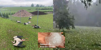 Granizada extrema mata aves y deja graves afectaciones en Letonia Granizada