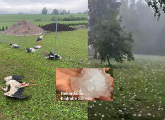 Granizada extrema mata aves y deja graves afectaciones en Letonia Granizada