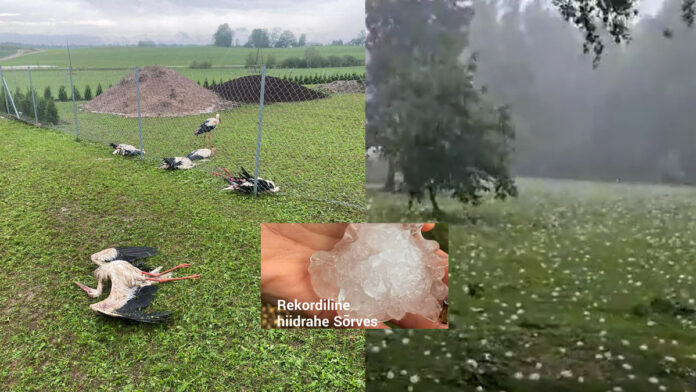Granizada