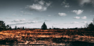 Incendio consume Isla de Tenerife en España Incendio