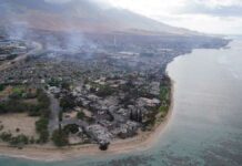 Sube a 55 el número de muertos por incendio forestal en Hawái Incendio