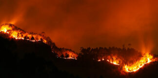 Emiten estado de emergencia por incendios al Noroeste de Canadá Incendios