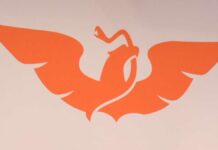 Partido Naranja, sin crisis por rompimiento con Alfaro: Fernando Morales Movimiento