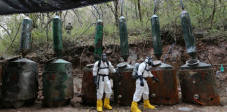 SEMAR destruyó 104 narcolaboratorios en ocho meses Narcolaboratorios