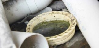 Puebla, sin hospitalizados por dengue: Salud Salud