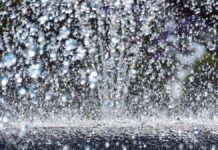 UDLAP se une a la Semana Mundial del Agua UDLAP