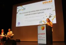 Estudiante UDLAP participa en conferencia internacional en Francia UDLAP