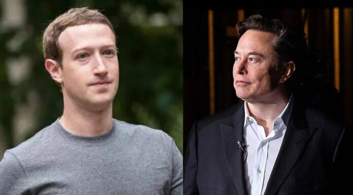 Mark Zuckerberg propone fecha para la pelea con Elon Musk Zuckerberg