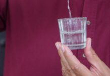 Puebla invirtió más de 434 mdp en producción de agave mezcalero en 2023 Agave