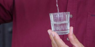 Mezcal en Puebla tendrá inversión de 442 mdp para crecimiento en 2024 Agave