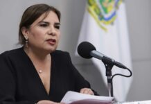 Municipios son omisos en atención de maltrato animal: Manrique animal