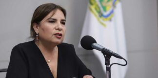 Municipios son omisos en atención de maltrato animal: Manrique animal