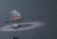 Balean autobús de pasajeros en Amozoc autobús