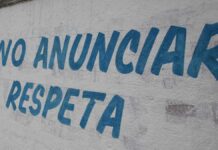 Avalan multas de hasta 311 mil pesos por pinta de bardas bardas