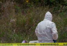 Encuentran cadáver de hombre junto a lateral de la México-Puebla cadáver