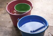 Suma Puebla 15 nuevos casos de dengue en últimas 24 horas: Salud casos