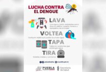 Puebla alcanza mil 030 casos de dengue: Salud casos