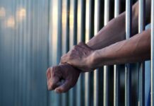 Pagarán 3 mdd a hombre encarcelado injustamente en Nueva Zelanda dólares