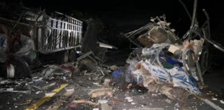 Fatal accidente deja 16 migrantes muertos en la Cuacnopalan – Oaxaca migrantes