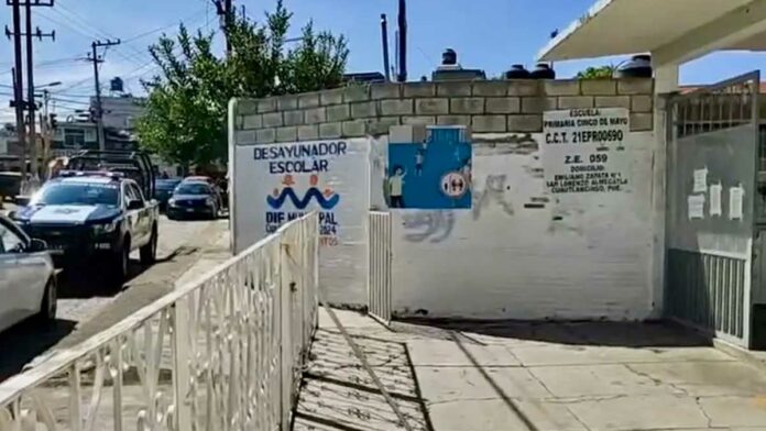 primaria