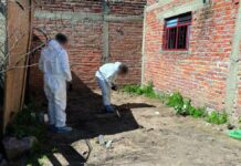 Lagos de Moreno: Hallan restos óseos calcinados en finca restos (1)