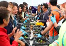Puebla capital brinda talleres gratuitos de agricultura urbana talleres