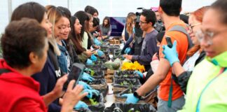 Puebla capital brinda talleres gratuitos de agricultura urbana talleres