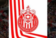 FMF acepta error en alineación indebida del Chivas-Mazatlán Chivas