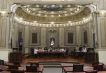 Proponen en el Congreso sancionar la exposición de animales a la pirotecnia Congreso