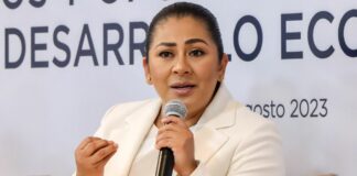 Navarro buscará cargo por el PSI si no hay acuerdo con el PAN