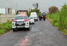 Hallan cadáver embolsado en la autopista México-Puebla