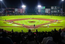 Serie del Rey 2023: anuncian horarios para los juegos entre Pericos – Algodoneros