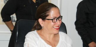 Ana Gabriela Lepe deja la Comisión de Control, Vigilancia y Evaluación del Congreso