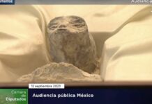 Jaime Maussan presenta “cuerpos no humanos” en Cámara de Diputados