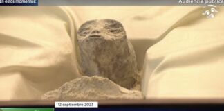 Jaime Maussan presenta “cuerpos no humanos” en Cámara de Diputados