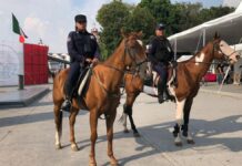 Feria de San Pedro Cholula reporta saldo blanco
