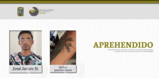 Arrestan a sujeto que lanzó a perrita Enedina de edificio en Huejotzingo Enedina