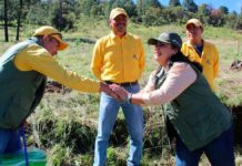 Gobierno estatal reforestará zona Izta-Popo con 441 mil plantas Gobierno