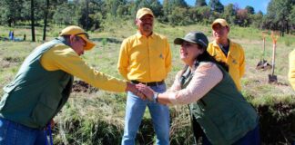 Gobierno estatal reforestará zona Izta-Popo con 441 mil plantas Gobierno