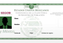 CURP con fotografía, aprueban en comisiones del Senado