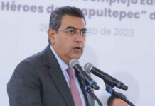 Comisionado de Búsqueda de Personas debe dar resultados: Salomón Personas