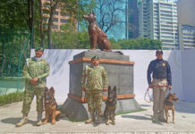 Sedena develó estatua de Proteo, perro rescatista que murió en Turquía Proteo