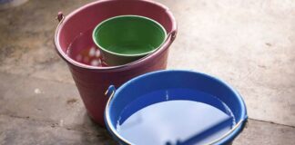 Puebla: Dengue mantiene a 10 personas hospitalizadas Puebla