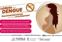 Puebla acumula mil 208 casos de dengue: Salud casos