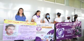 Sheridan denuncia falta de apoyo en juicio de pensión alimentaria