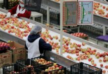 Puebla registra su mejor semestre en la historia en exportaciones
