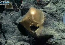 Descubren ‘huevo de oro’ en fondo marino de Alaska huevo