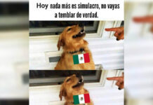 Estos son los memes que dejó el Simulacro Nacional 2023