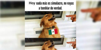 Estos son los memes que dejó el Simulacro Nacional 2023